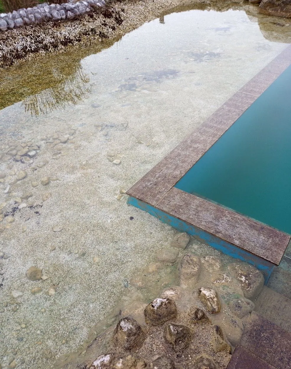 Teichpool nach der Reinigung