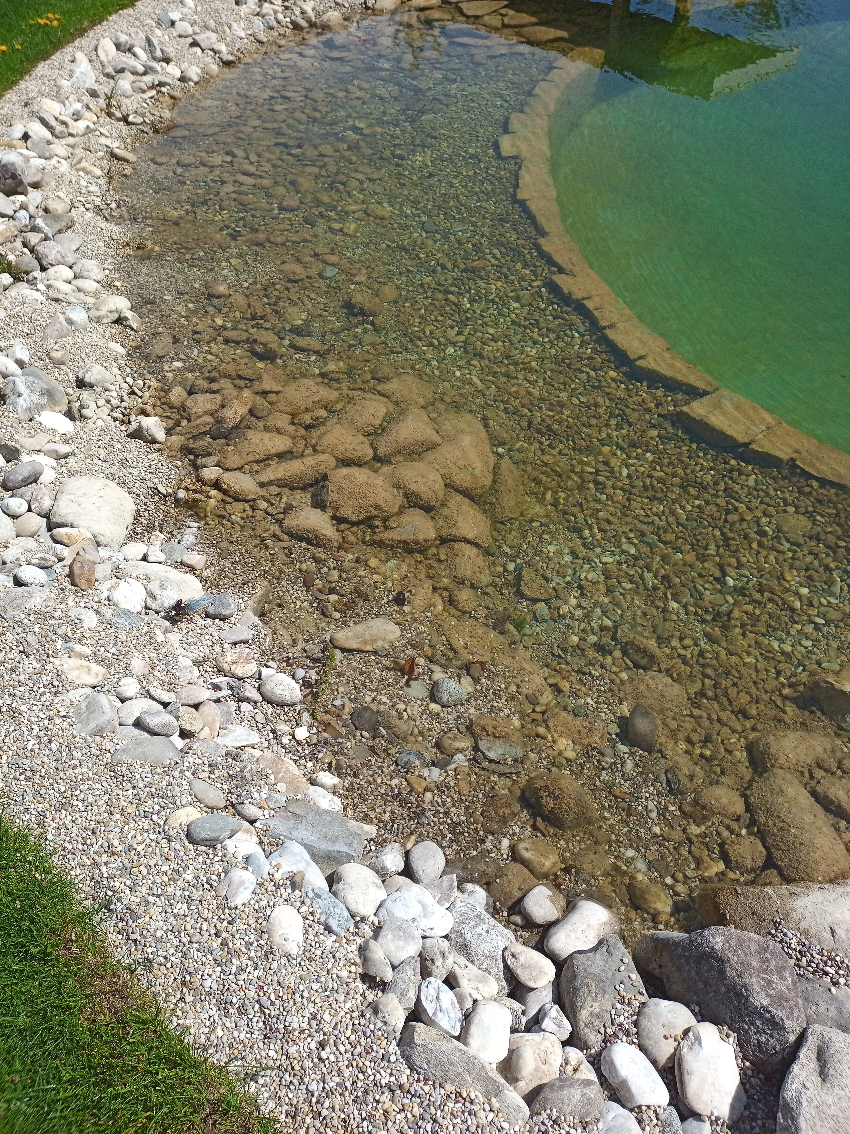 Frisch gereinigter Schwimmteich
