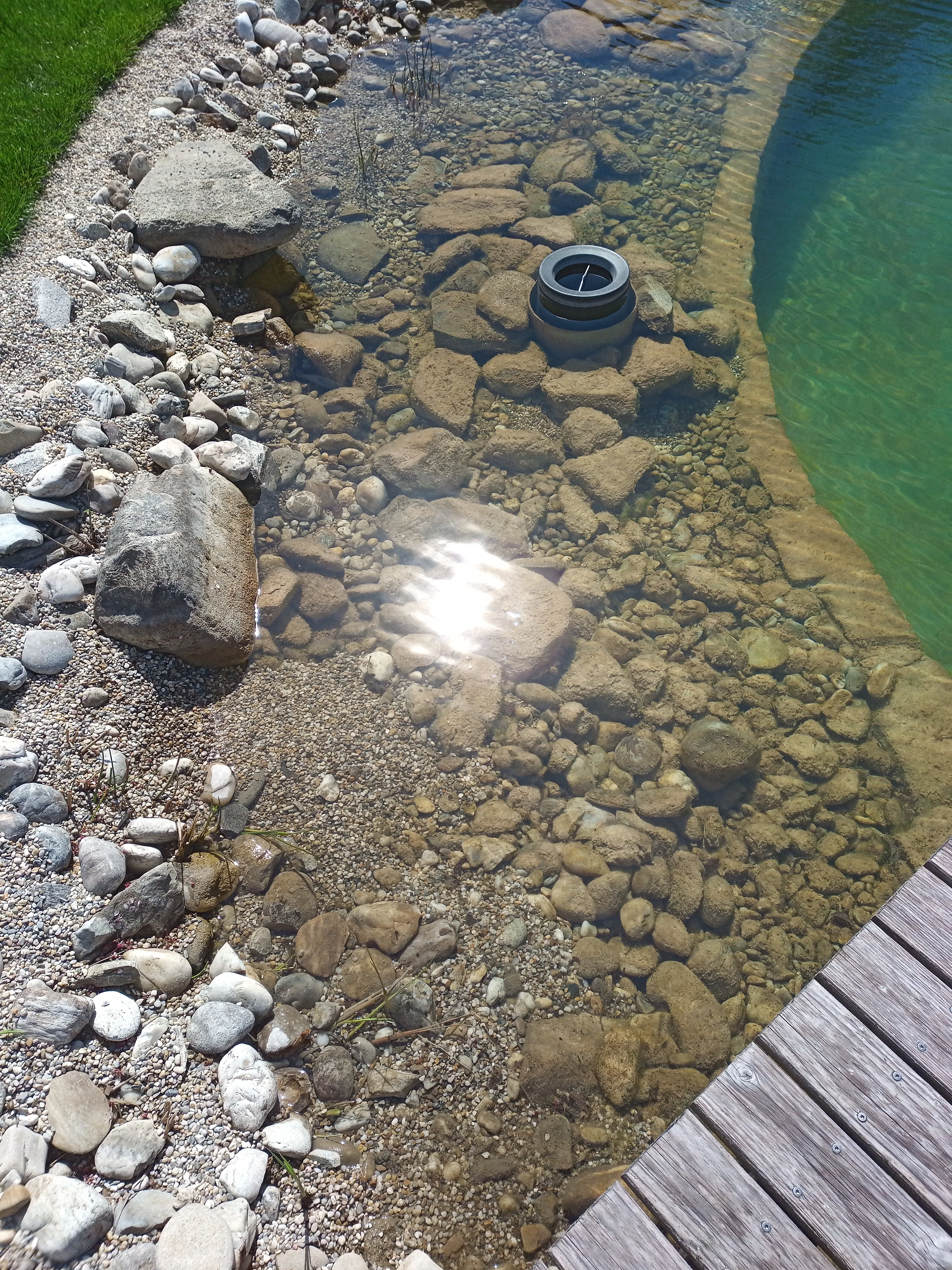 Sauberer Schwimmteich nach der Pflege