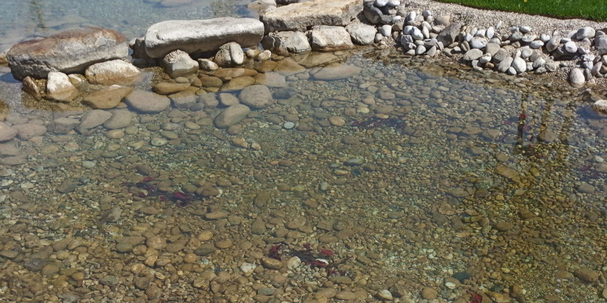 gereinigter Teich 6