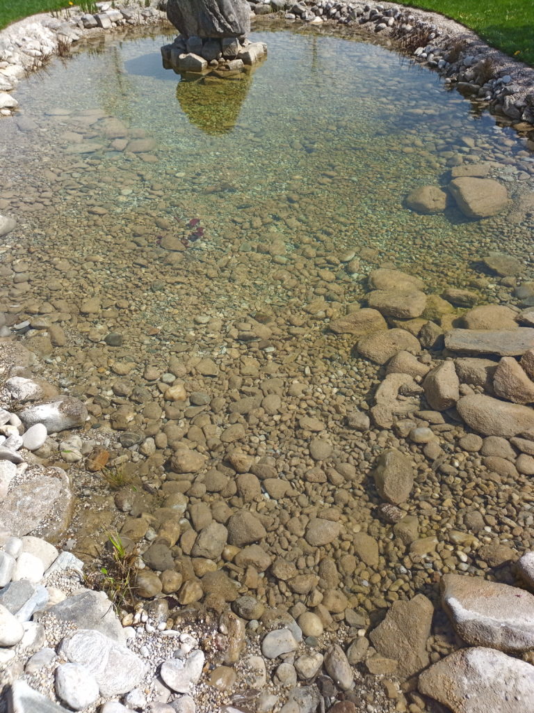 gereinigter Teich vergleich